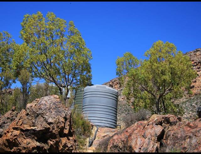 86HA FARM FOR SALE IN CERES RURAL